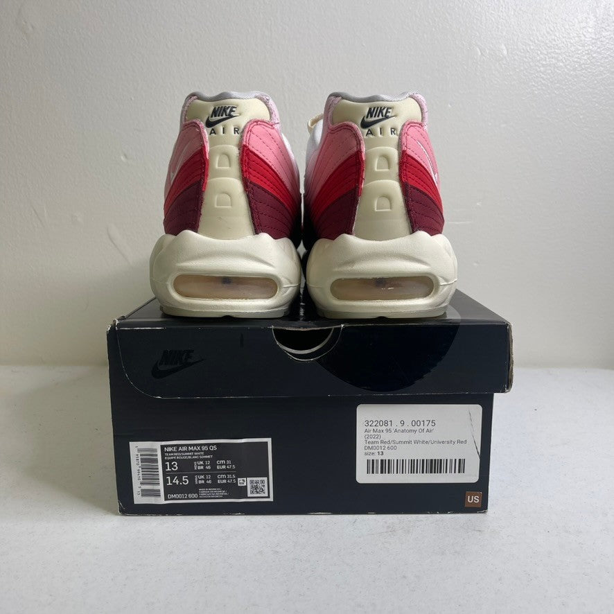 Nike Air Max 95 Anatomy of Air GID