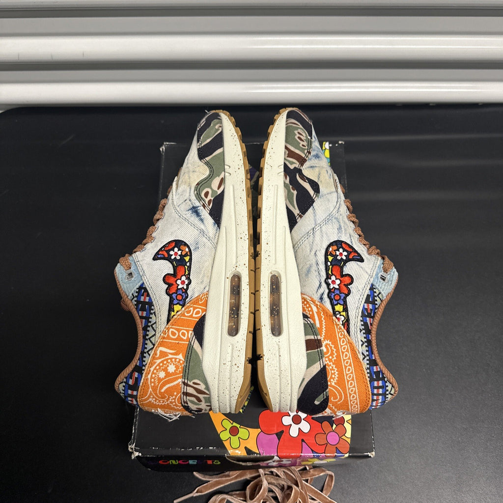 Nike Air Max 1 SP Concepts Heavy
