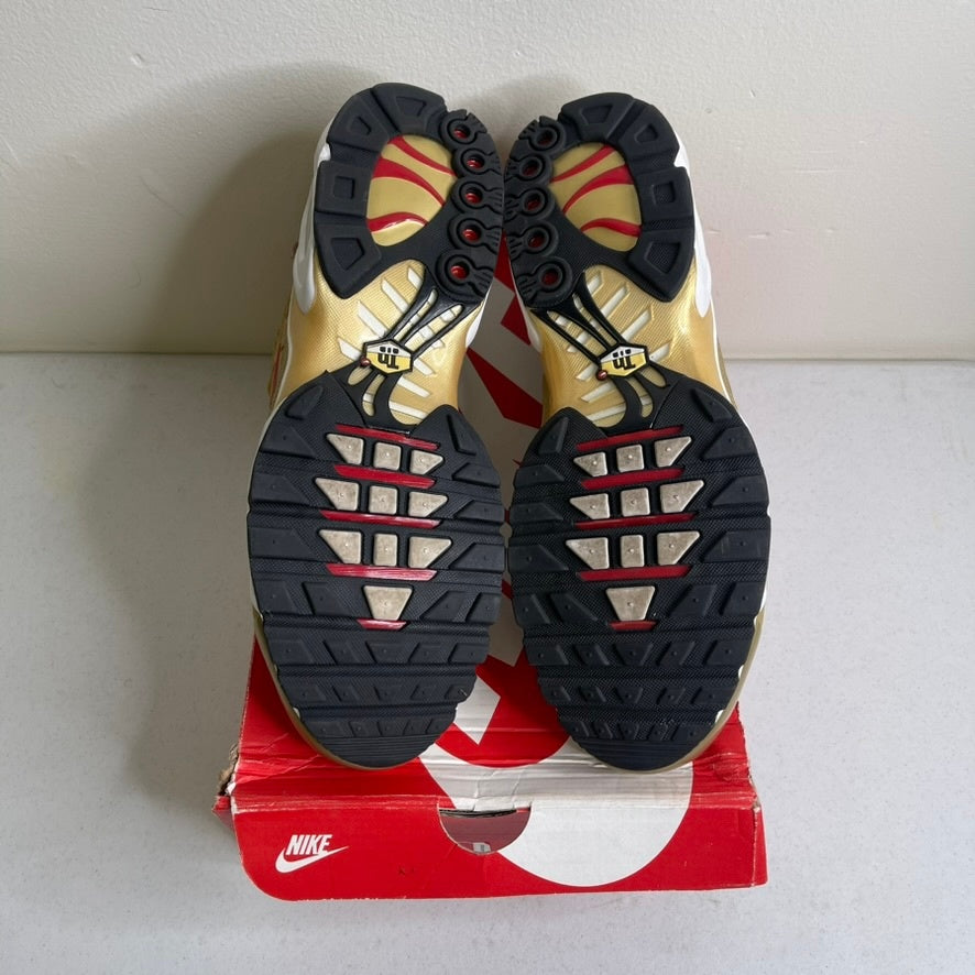 Nike Air Max Plus Metallic Gold (2018)
