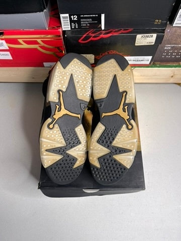 Jordan 6 Retro DMP (2020)