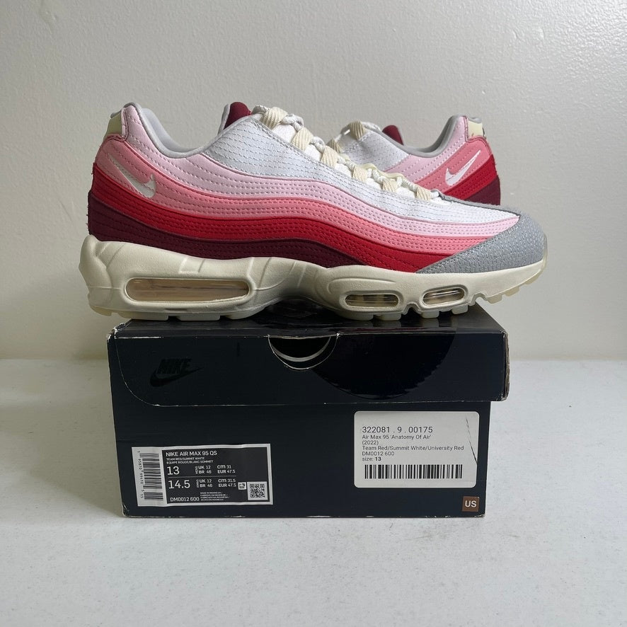 Nike Air Max 95 Anatomy of Air GID