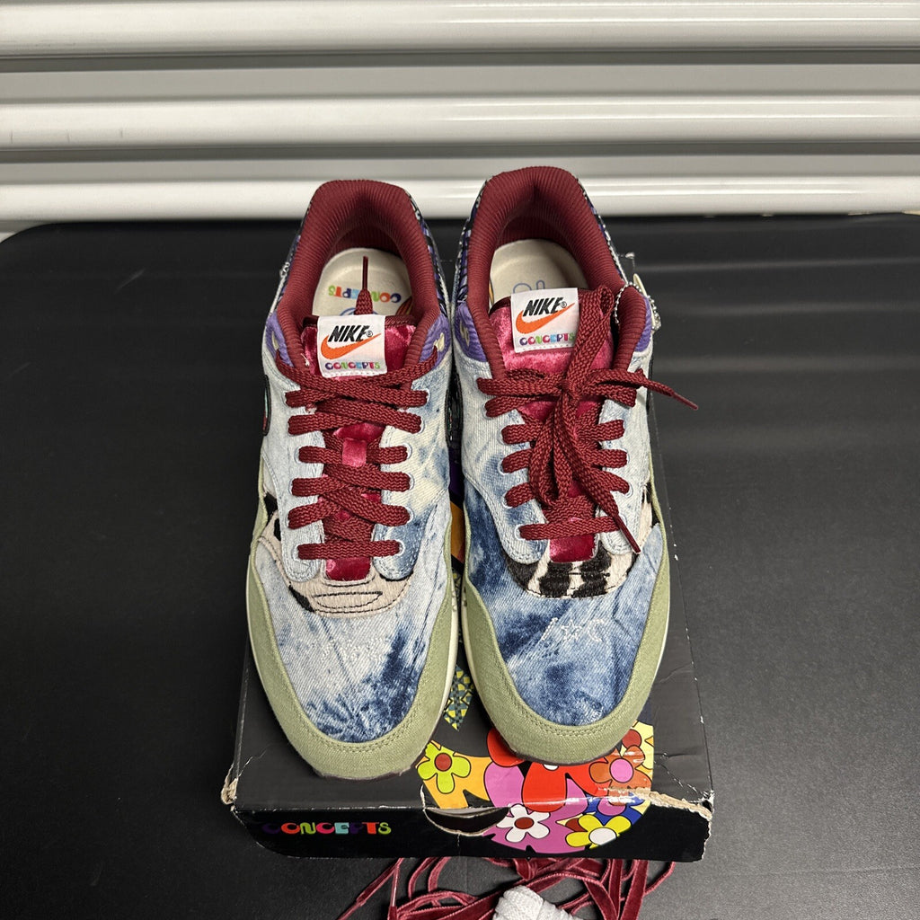 Nike Air Max 1 SP Concepts Mellow