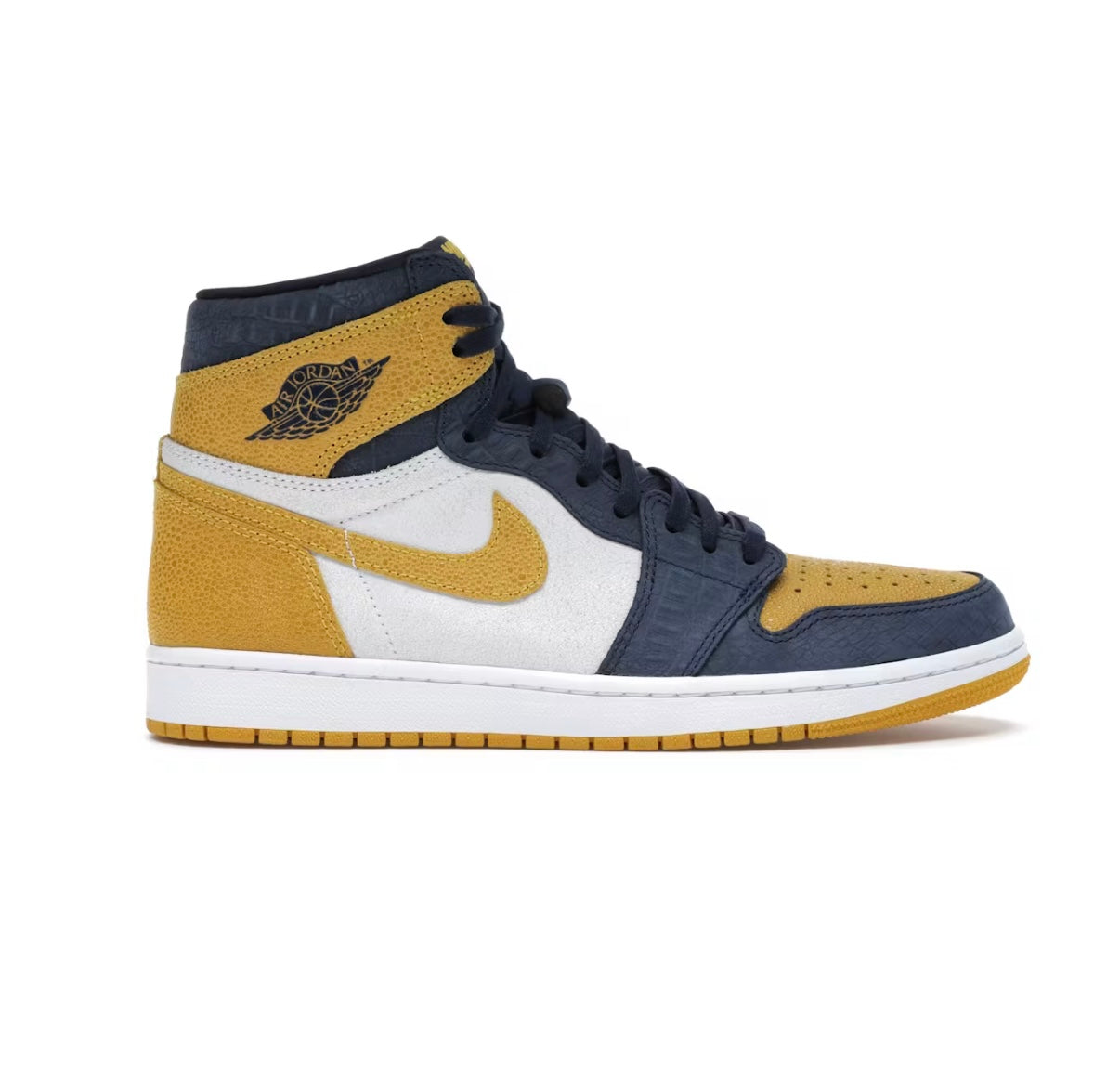 Jordan 1 High Michigan PE