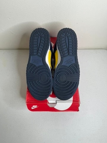 Nike Dunk Low Michigan (2021)