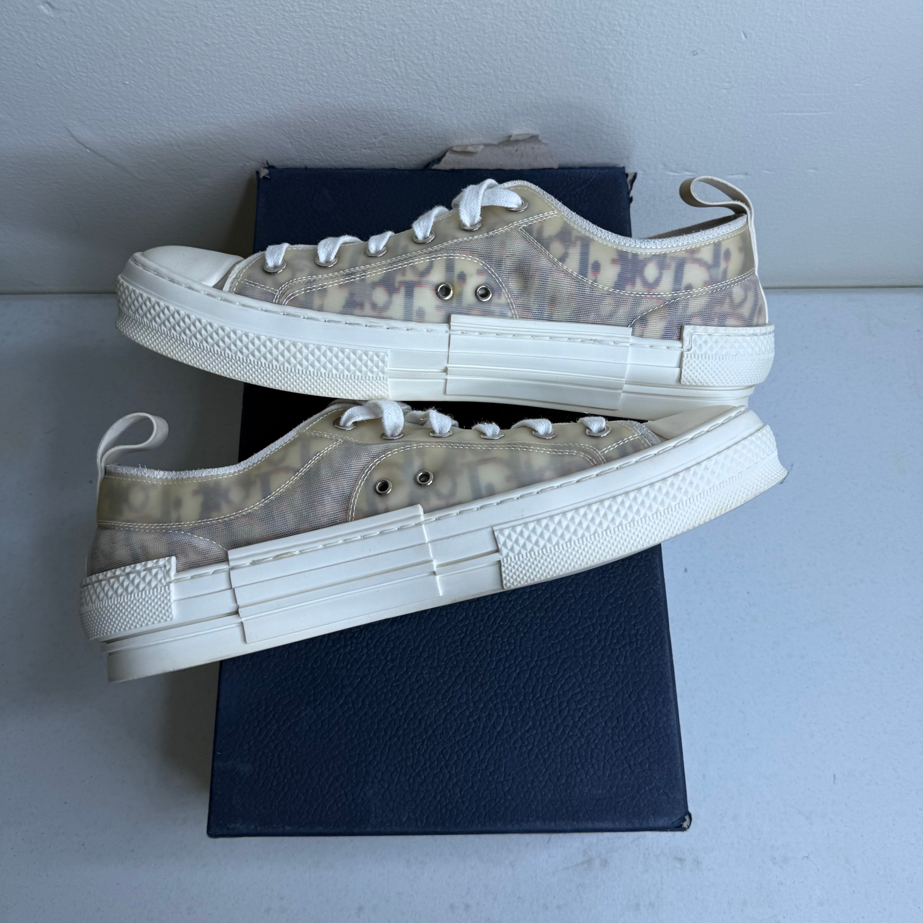 Dior B23 Oblique Low