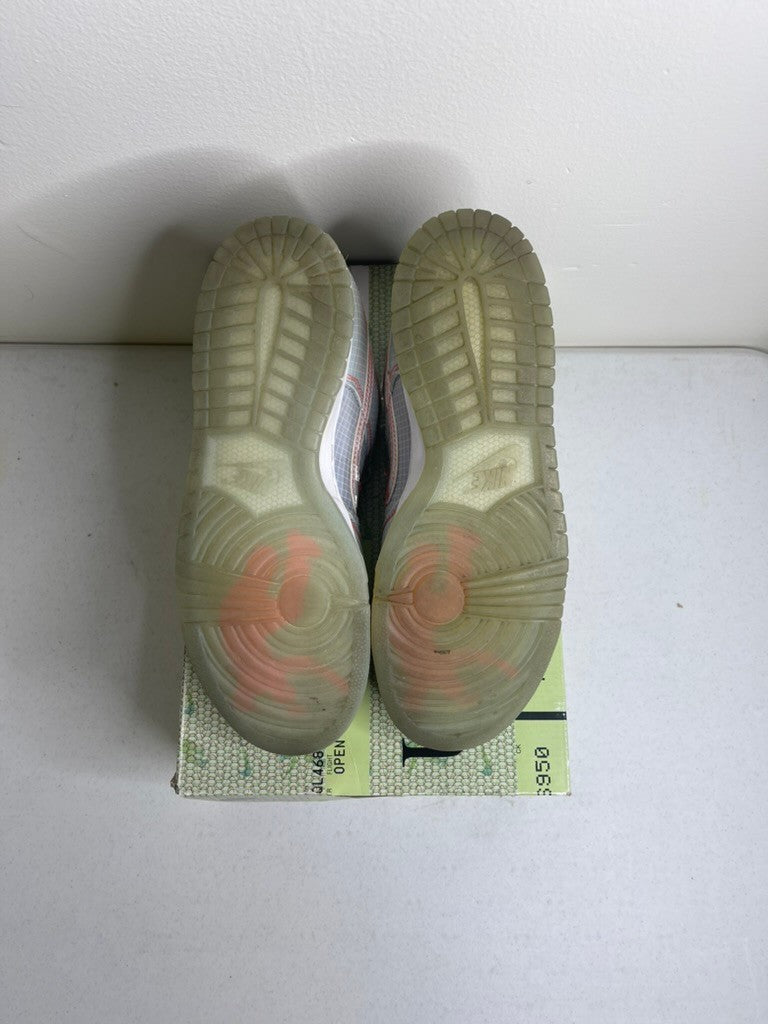 Nike Dunk Low Union Passport Pack Argon