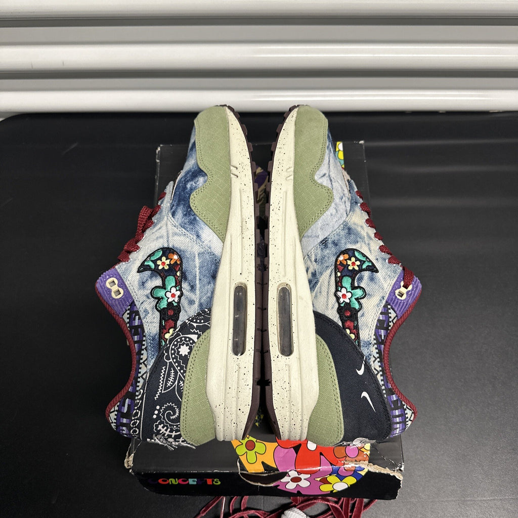 Nike Air Max 1 SP Concepts Mellow