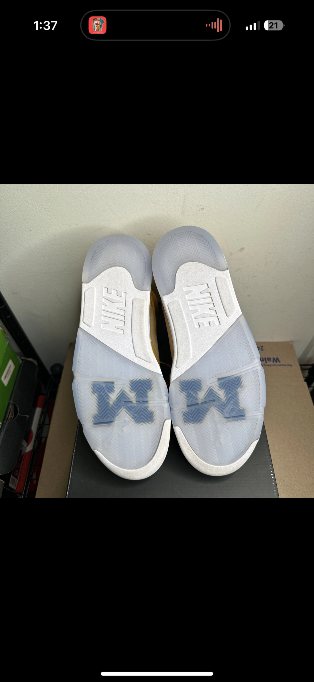 Jordan 5 Michigan PE