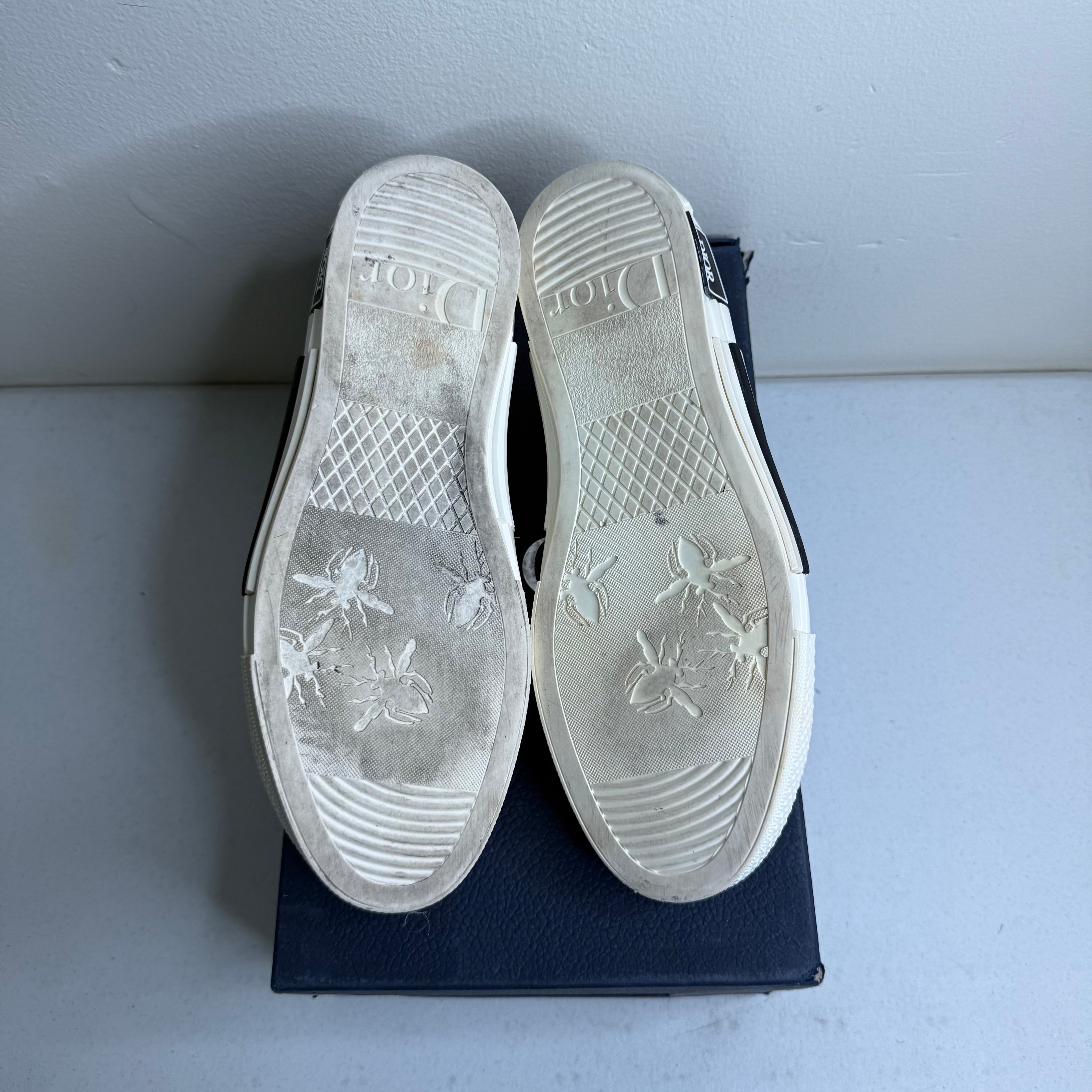 Dior B23 Oblique Low