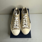 Dior B23 Oblique Low