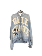 Vale Light Blue Zip up Hoodie