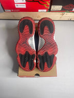 Size 11 - Jordan 11 Retro Playoffs Bred (2019)