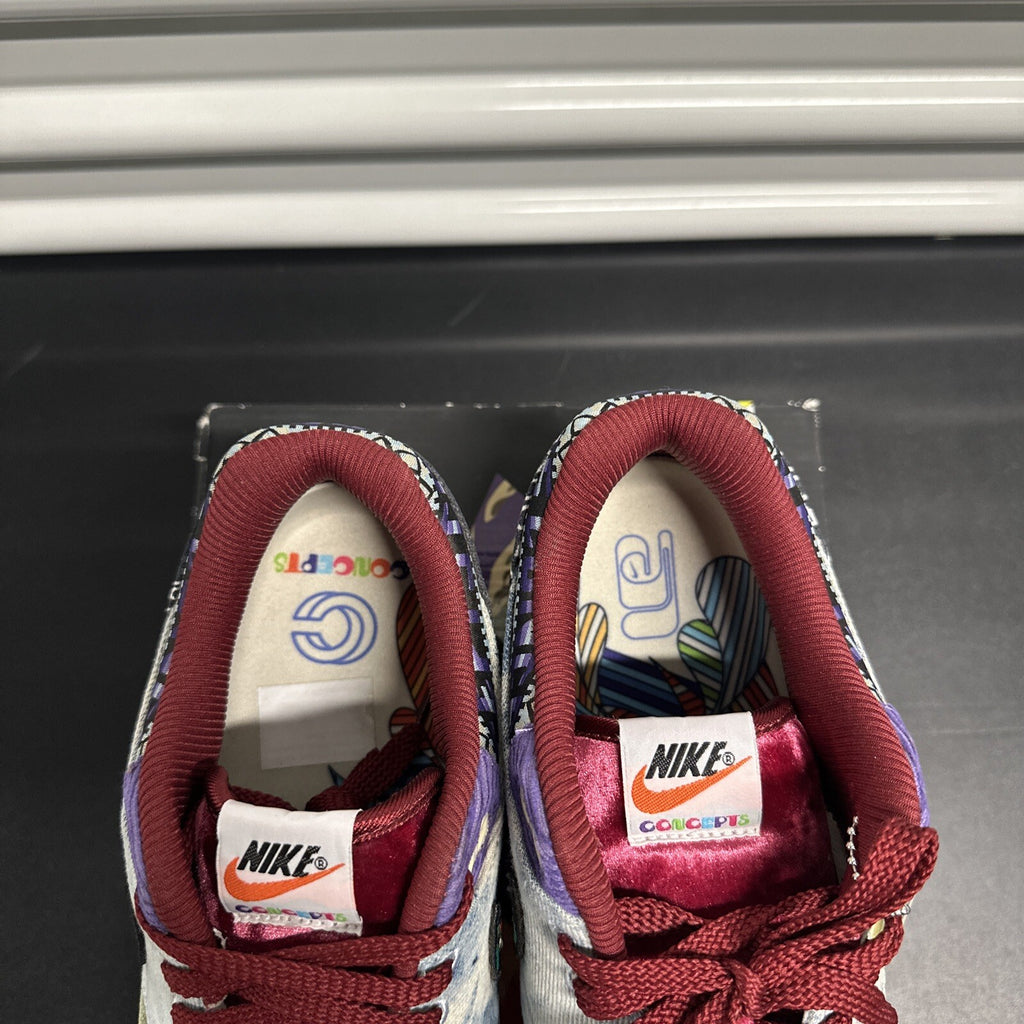 Nike Air Max 1 SP Concepts Mellow