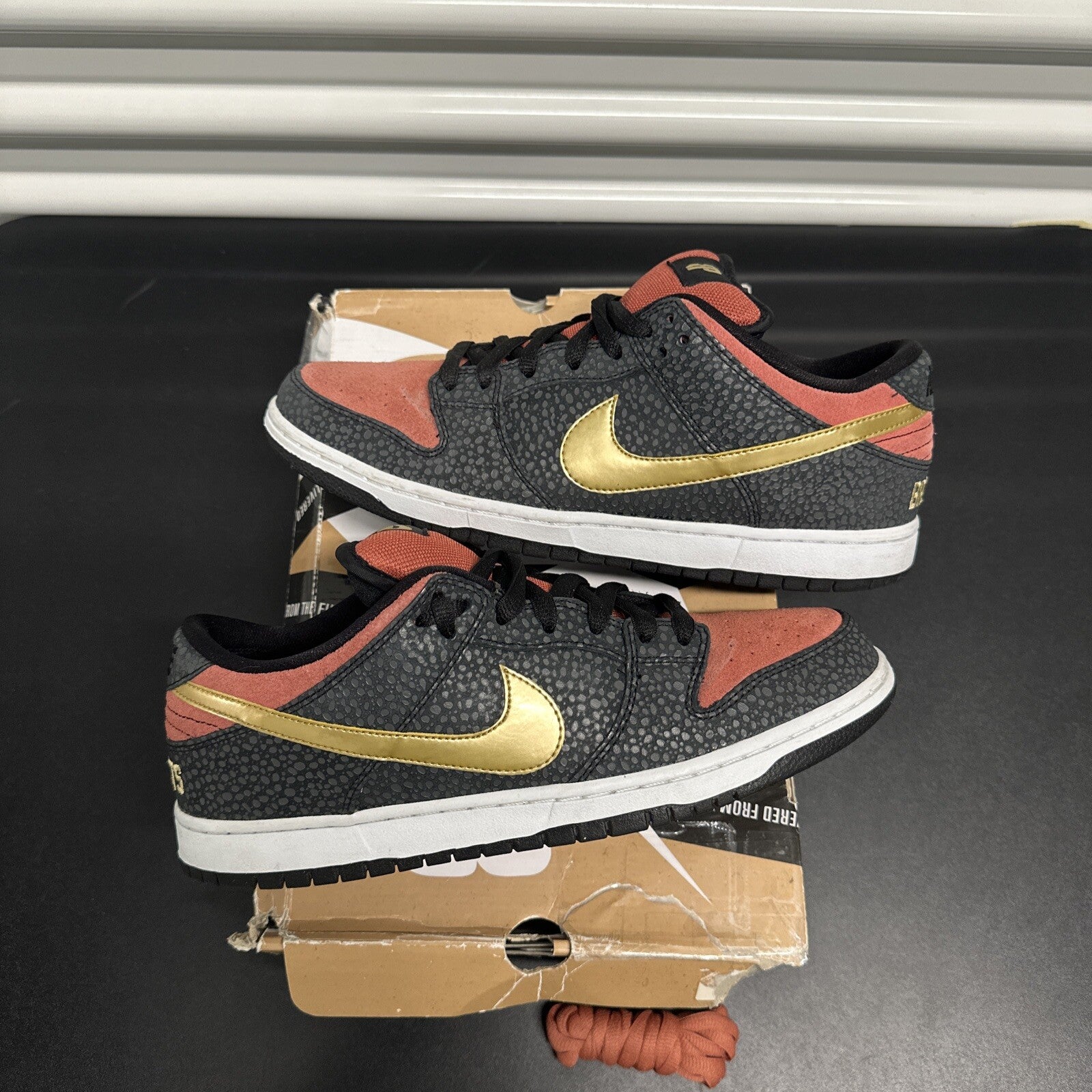 Nike SB Dunk Low Walk of Fame Brooklyn Projects