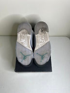 Size 9 - Jordan 5 Retro Grape (2025)