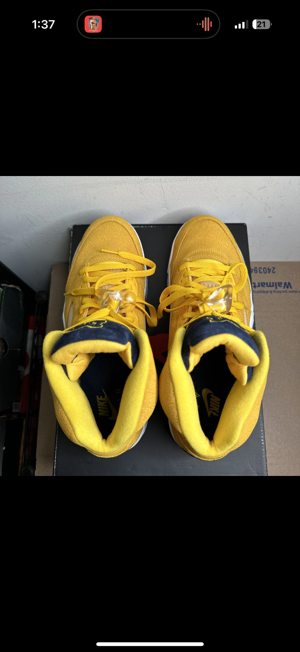 Jordan 5 Michigan PE