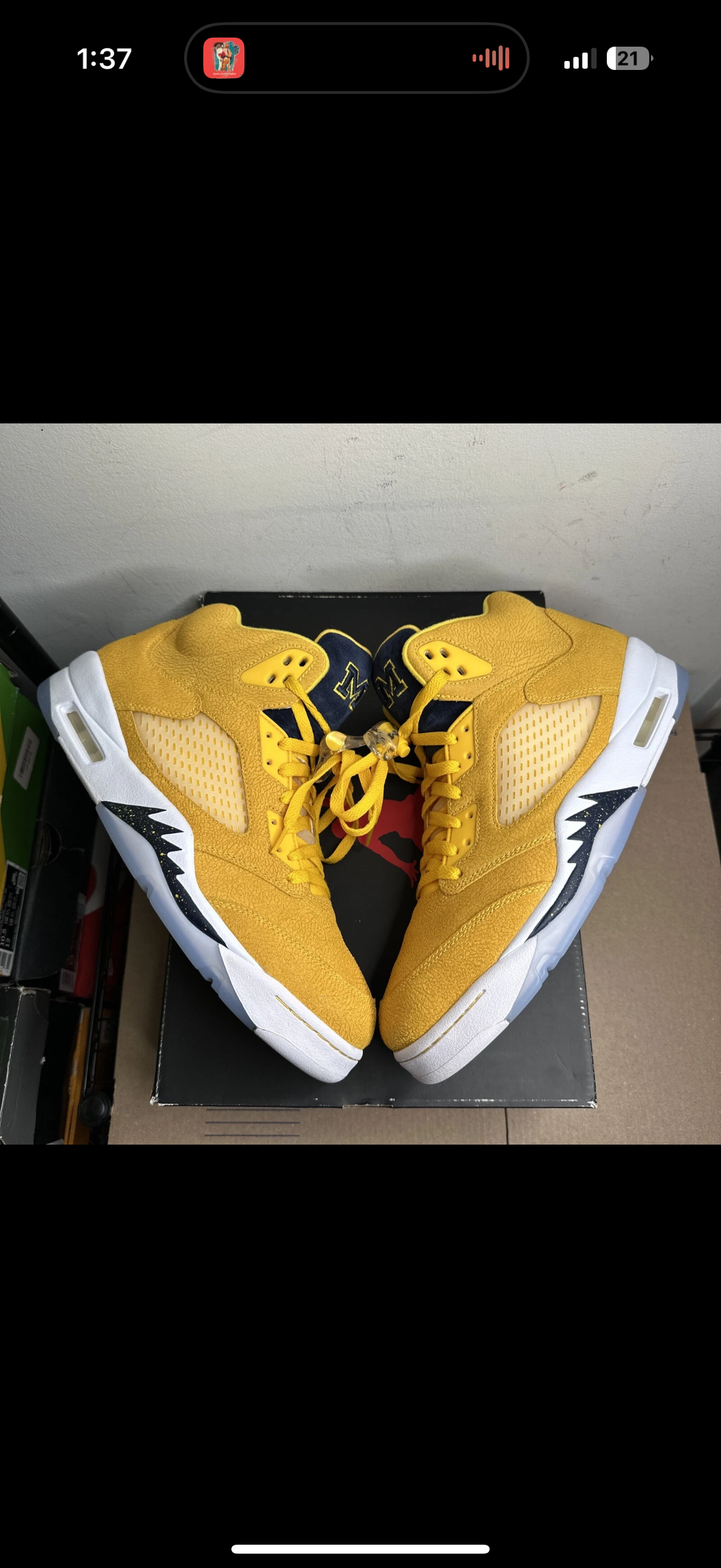 Jordan 5 Michigan PE