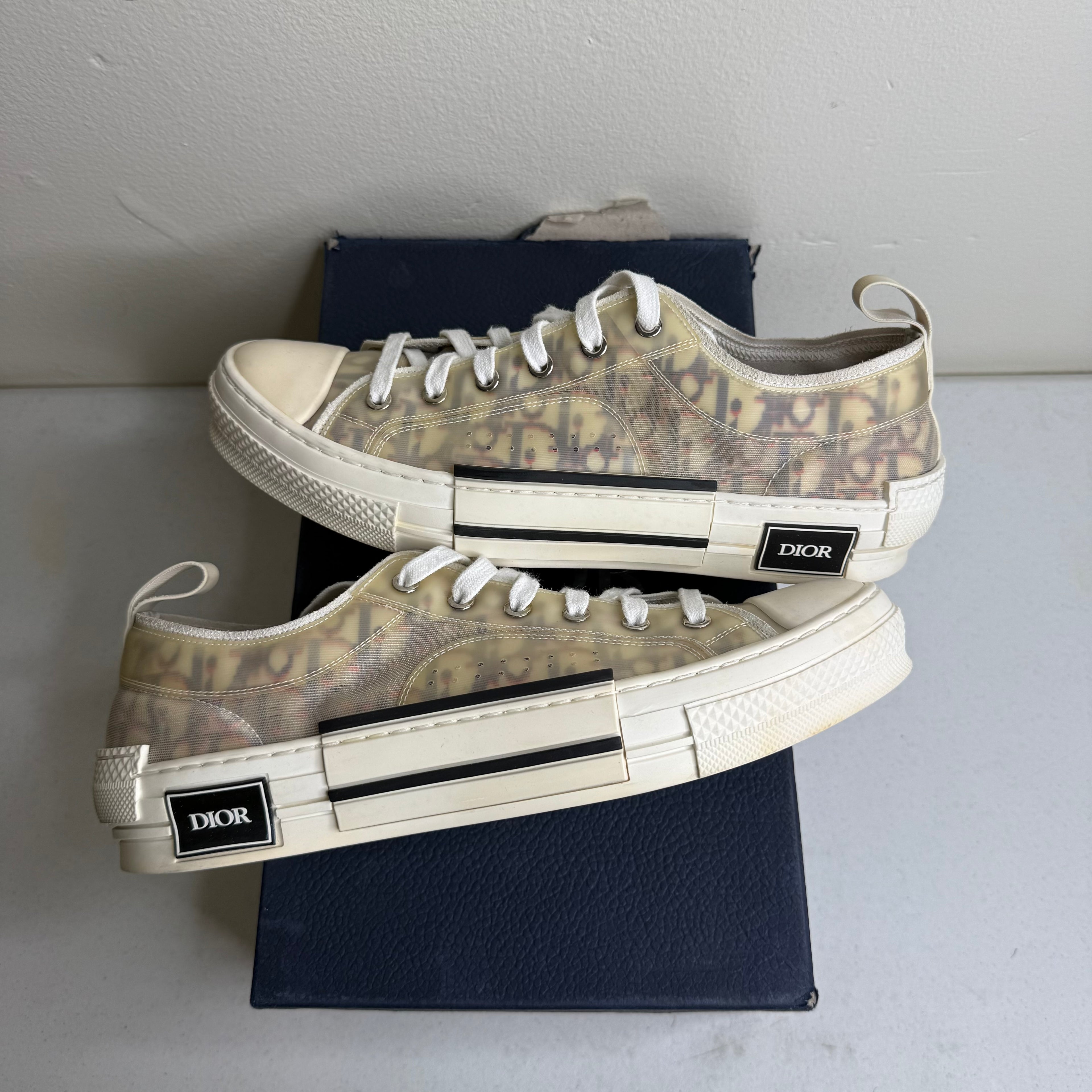 Dior B23 Oblique Low