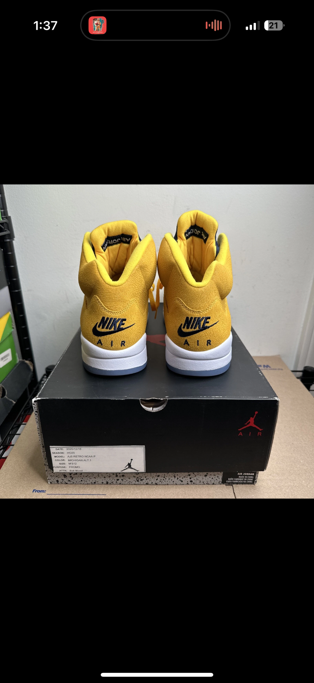 Jordan 5 Michigan PE