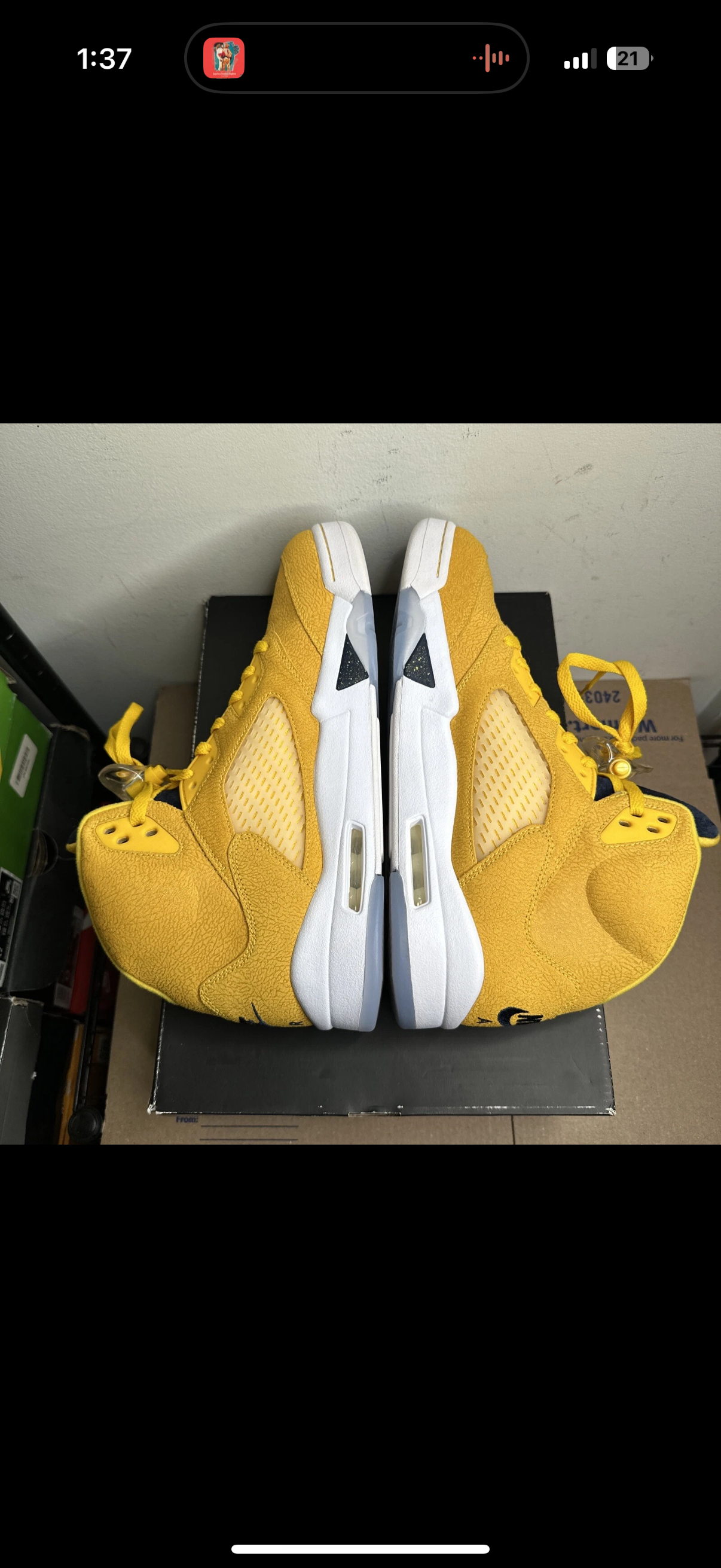 Jordan 5 Michigan PE