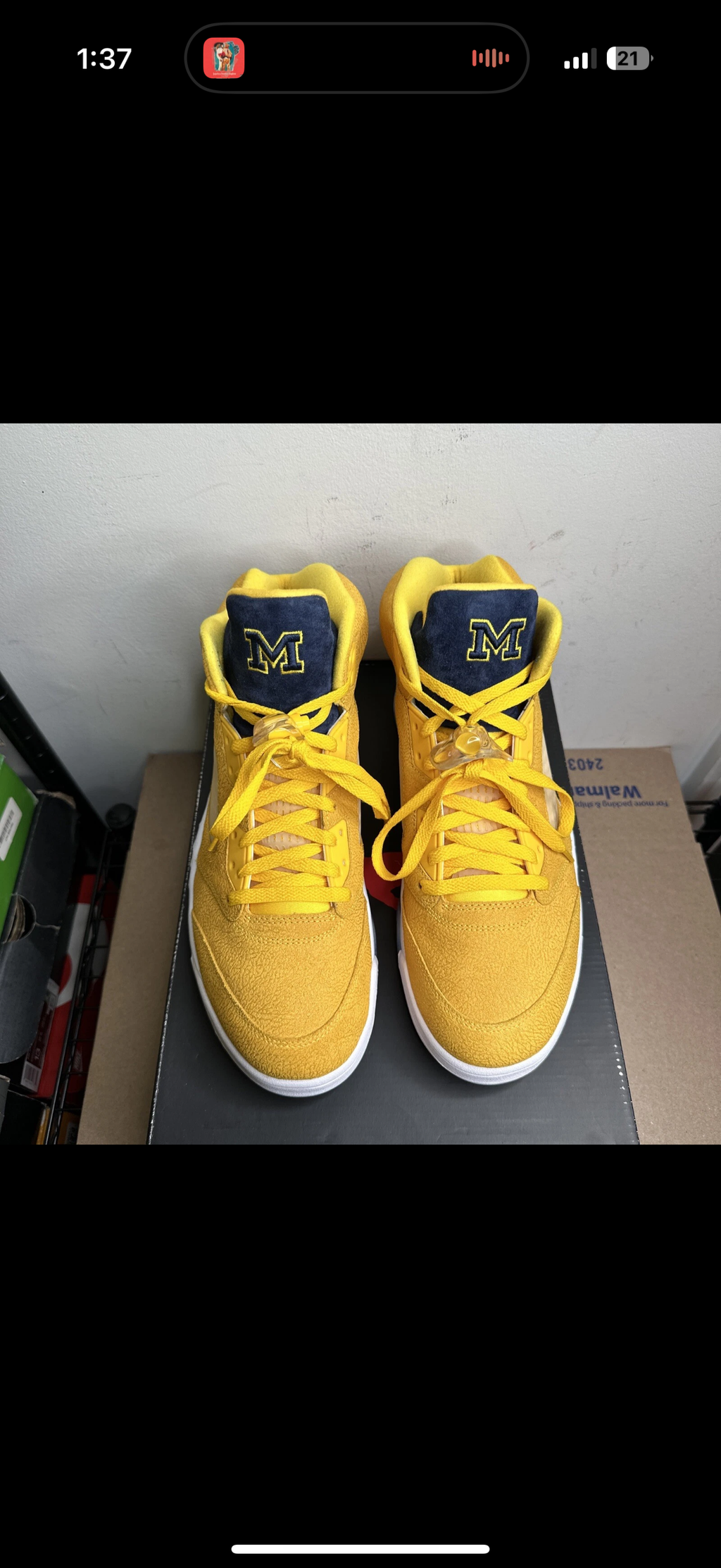 Jordan 5 Michigan PE