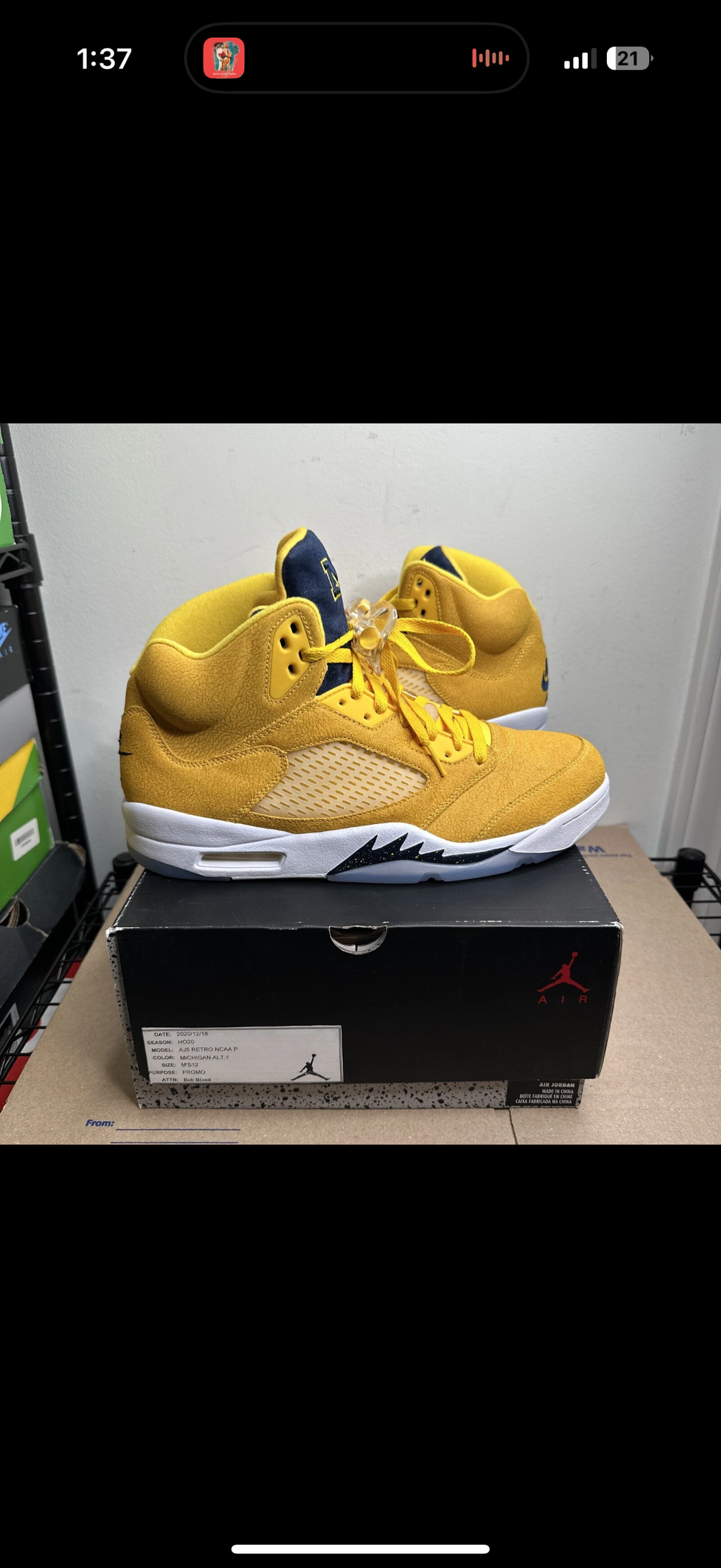 Jordan 5 Michigan PE