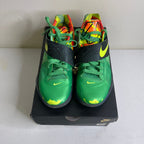 Size 8.5 - Nike KD 4 Weatherman (2024)