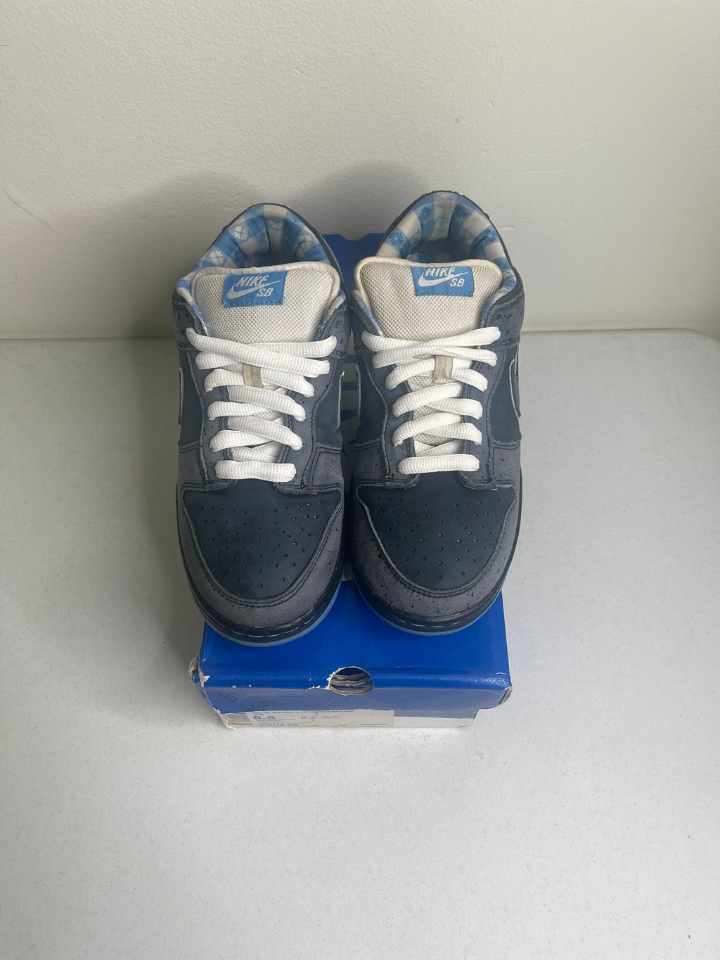 Nike SB Dunk Low Concepts Blue Lobster