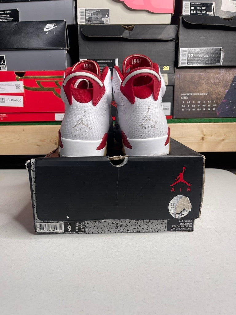 Jordan 6 Retro Alternate Hare