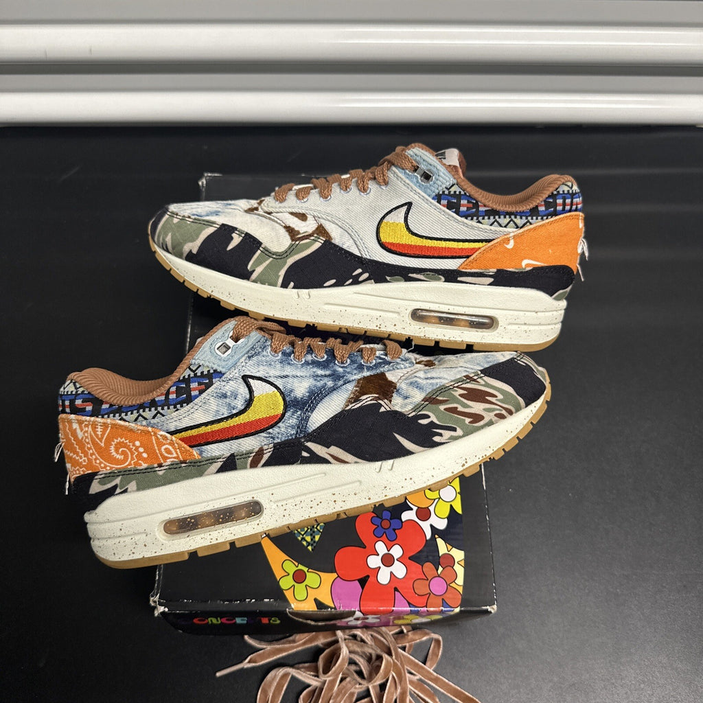 Nike Air Max 1 SP Concepts Heavy
