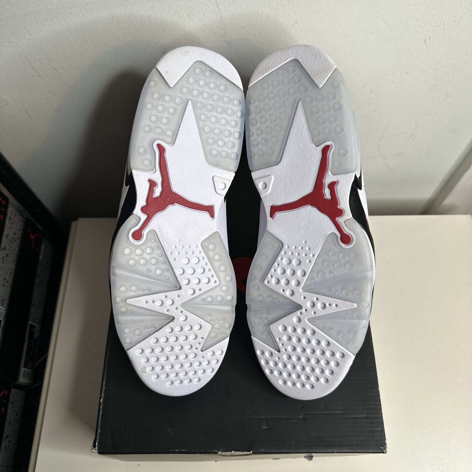 Jordan 6 Retro Carmine Tried On