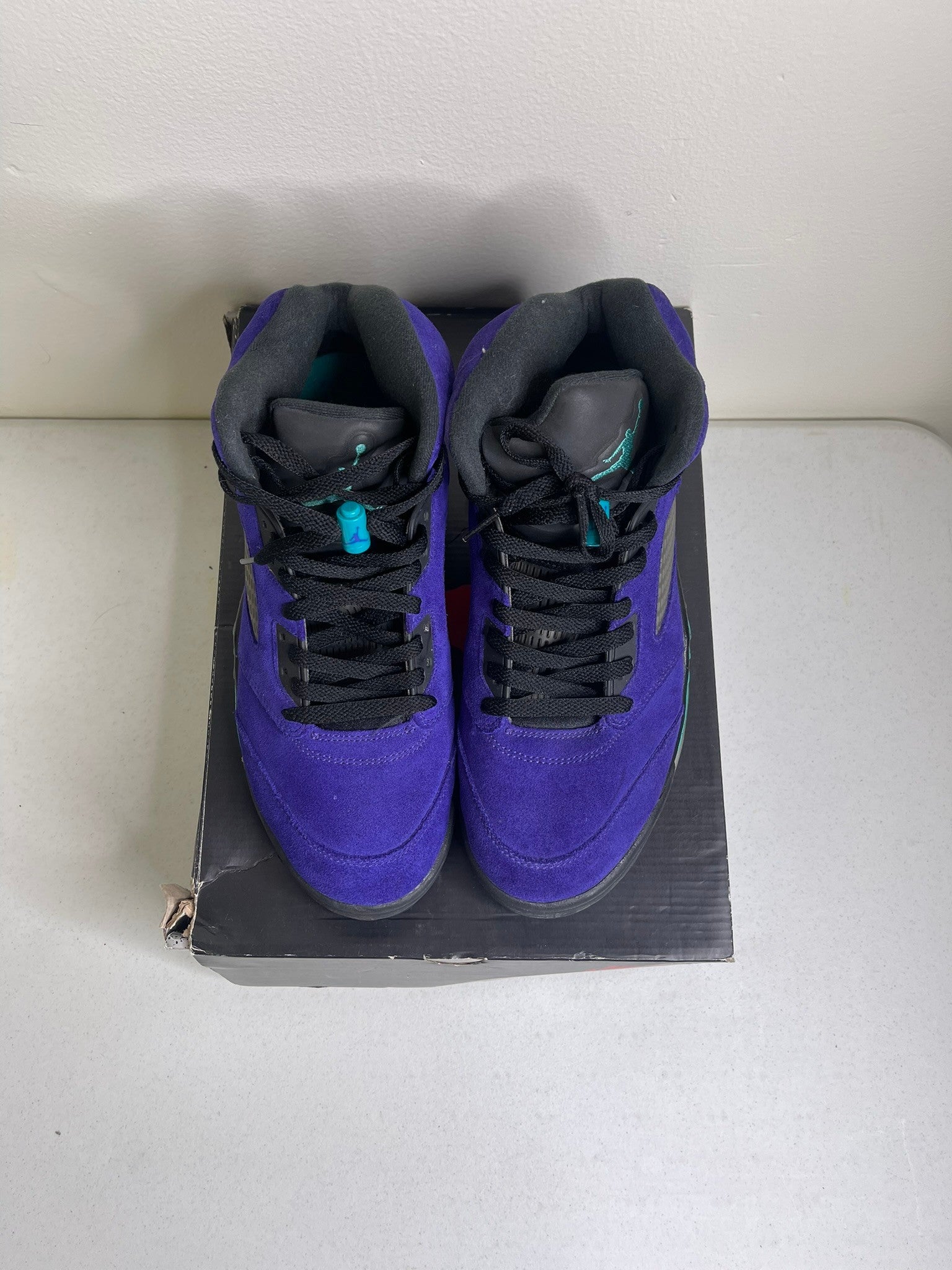 Size 10.5 - Jordan 5 Retro Alternate Grape