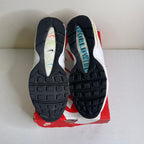 Size 11.5 - Nike Air Max 95 Worldwide Pack White