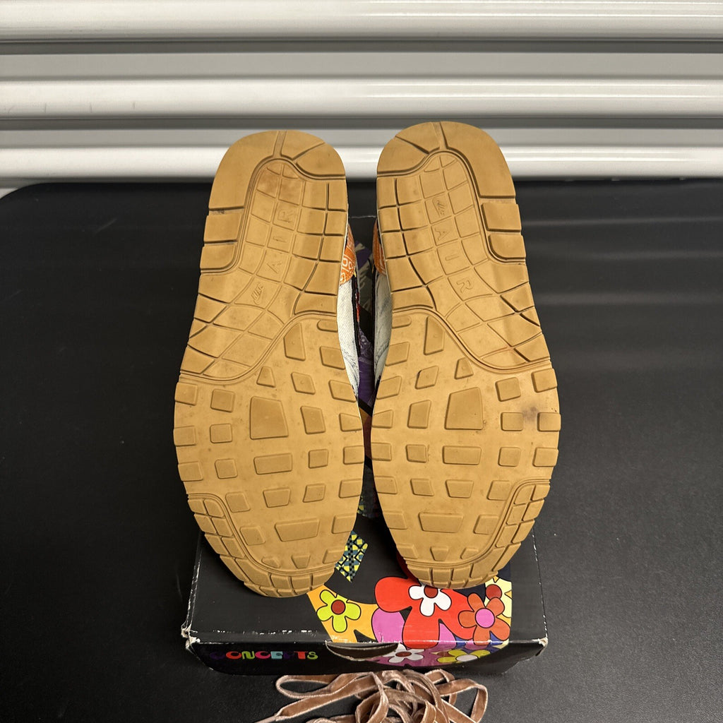 Nike Air Max 1 SP Concepts Heavy