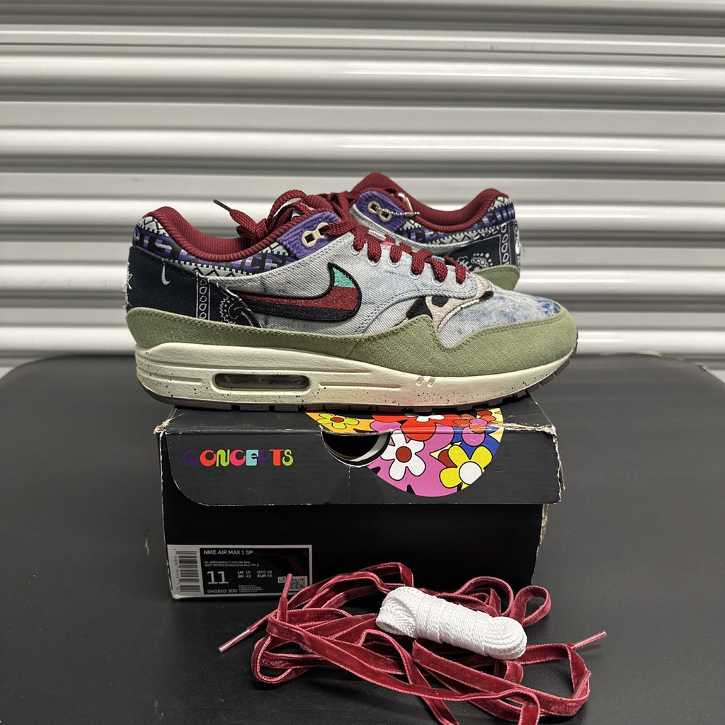 Nike Air Max 1 SP Concepts Mellow