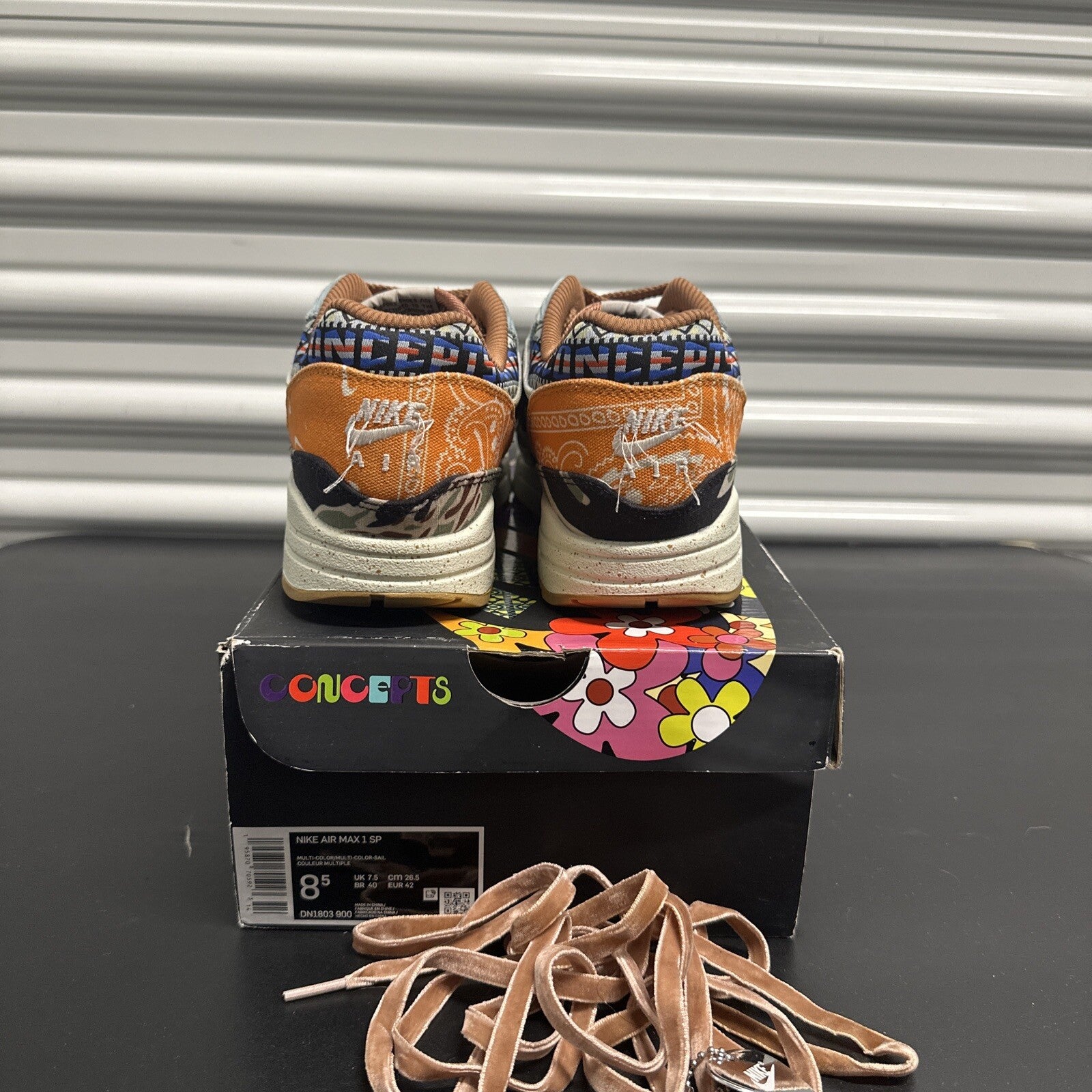 Nike Air Max 1 SP Concepts Heavy