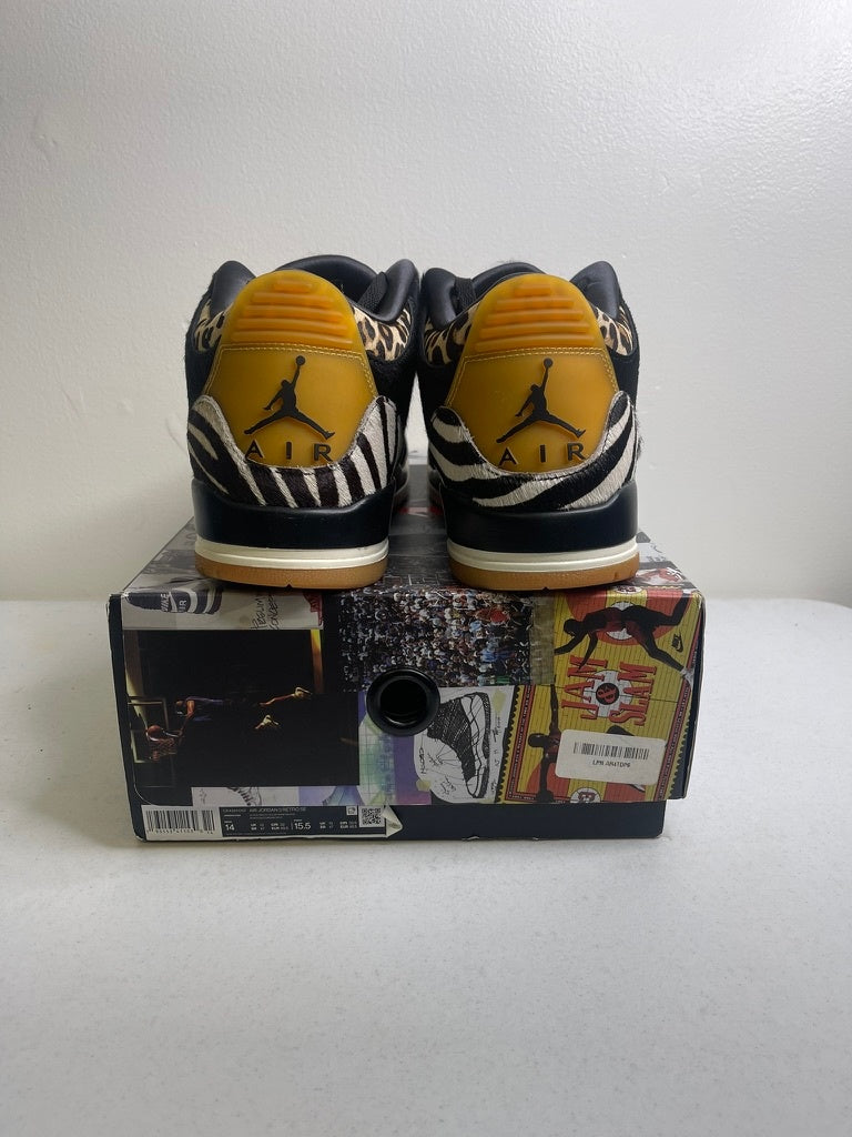 Jordan 3 Retro SE Animal Instinct