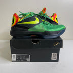 Size 8.5 - Nike KD 4 Weatherman (2024)