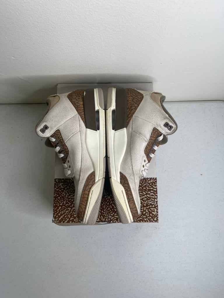Jordan 3 Retro Palomino