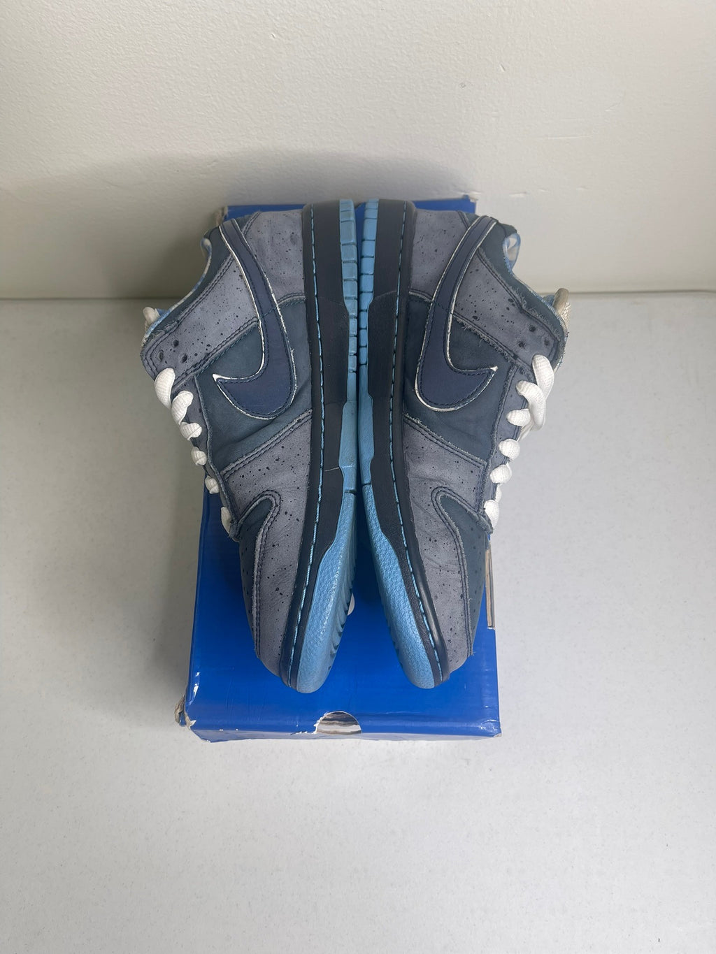Nike SB Dunk Low Concepts Blue Lobster
